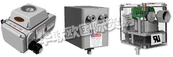 因此被視為AUTOFLAME公司和質(zhì)量管理體系的主要目標(biāo)。