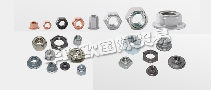 FLAIG+HOMMEL是世界知名的不銹鋼安全螺母制造商，幾十年來一直是國際汽車和鐵路行業(yè)的可靠合作伙伴。下文為您具體介紹FLAIG+HOMMEL安全螺母。