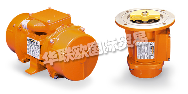 ITALVIBRAS是一家意大利公司，在電動(dòng)振動(dòng)器領(lǐng)域擁有十多年的經(jīng)驗(yàn)。對質(zhì)量的不斷追求，多年來活動(dòng)中積累的豐富經(jīng)驗(yàn)使ITALVIBRA成為全球電動(dòng)振動(dòng)器領(lǐng)域的旗幟。ITALVIBRA于2000年獲得UNI EN ISO 9001認(rèn)證，并通過CESI 00 ATEX 061 Q認(rèn)證了生產(chǎn)質(zhì)量。ITALVIBRAS重視創(chuàng)新，ITALVIBRAS公司在尖端技術(shù)上的大量投資大大改變了ITALVIBRAS的生產(chǎn)過程，從產(chǎn)品的定性角度和控制生產(chǎn)成本方面都取得了重要的成果。下文為您介紹ITALVIBRAS振動(dòng)器。