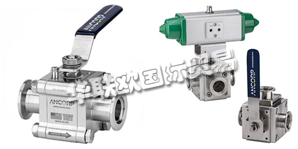 美國ANCORP公司主要供應(yīng)：美國ANCORP閥門,ANCORP過濾器，真空閥，疏水閥，真空球閥，二通球閥，三通球閥，高電導(dǎo)球閥，顆粒分離器，螺栓，螺母，固定環(huán)，夾具等產(chǎn)品。
