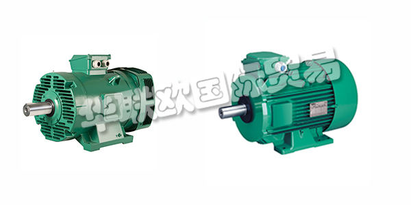 法國(guó)LEROY SOMER電機(jī)產(chǎn)品特征介紹